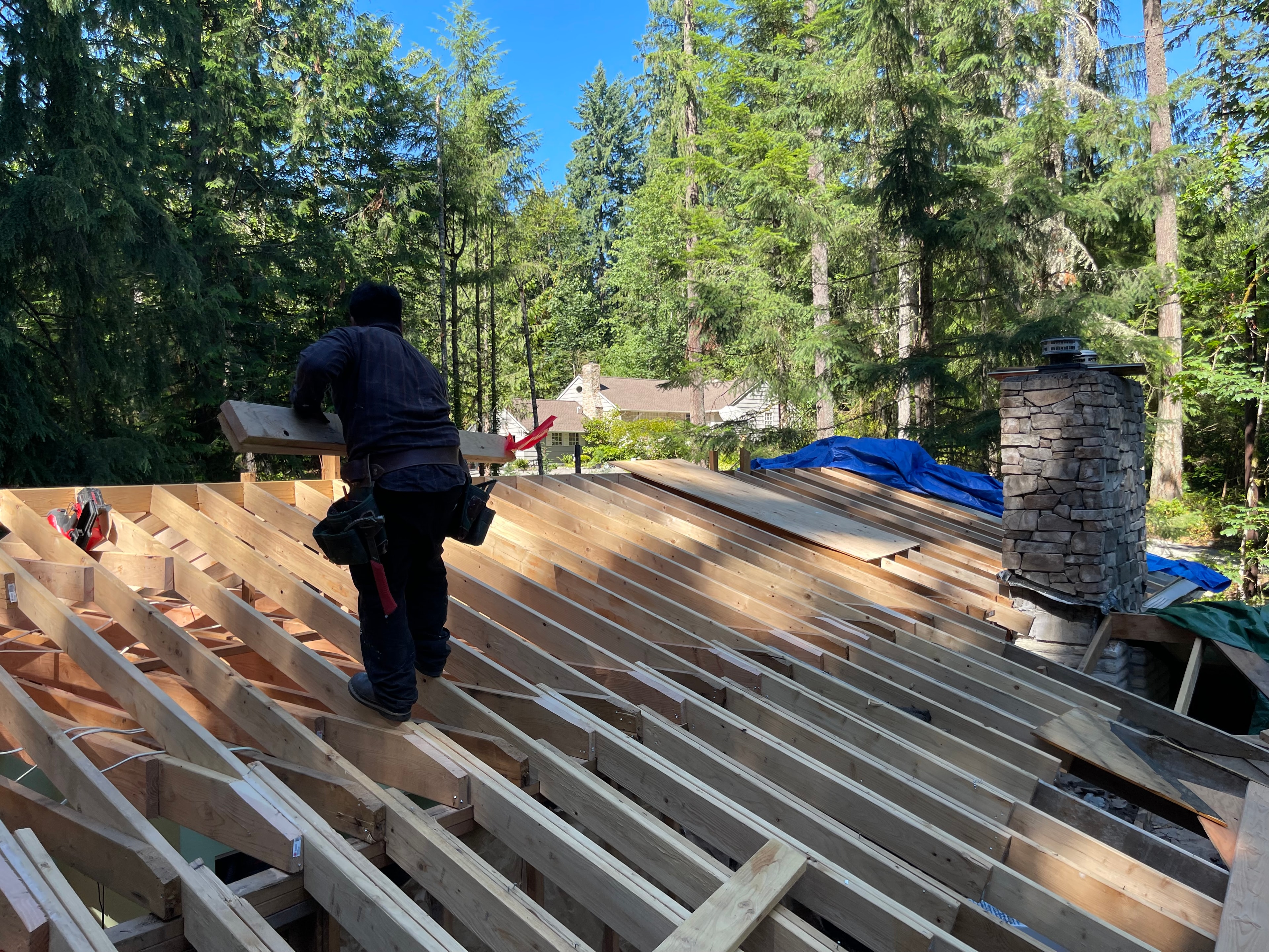 Roof framing by Wilder Construction